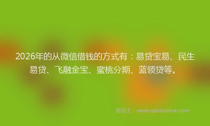 2026年的从微信借钱的方式有:易贷宝易、民生易贷、飞融金宝、蜜桃分期、蓝领贷等。