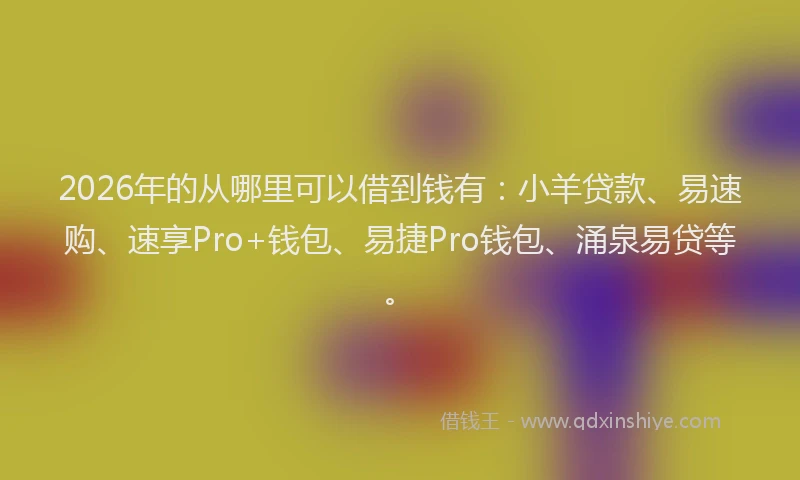 2026年的从哪里可以借到钱有:小羊贷款、易速购、速享Pro+钱包、易捷Pro钱包、涌泉易贷等。