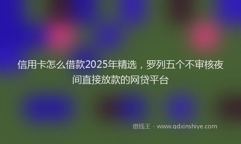 信用卡怎么借款2025年精选,罗列五个不审核夜间直接放款的网贷平台