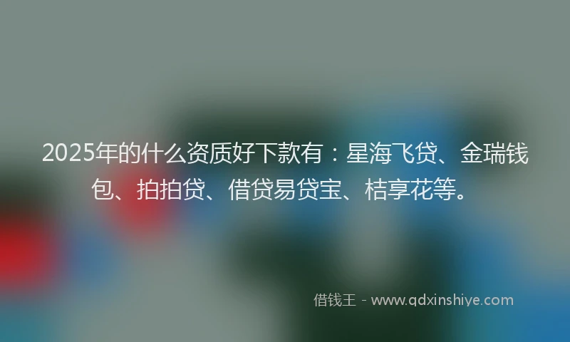 2025年的什么资质好下款有：星海飞贷、金瑞钱包、拍拍贷、借贷易贷宝、桔享花等。