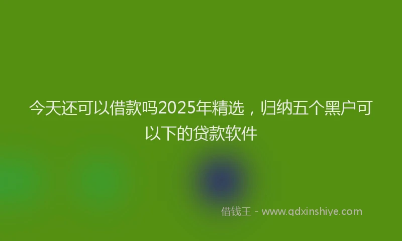 今天还可以借款吗2025年精选,归纳五个黑户可以下的贷款软件