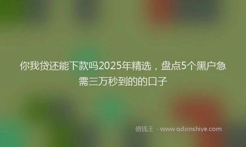你我贷还能下款吗2025年精选，盘点5个黑户急需三万秒到的的口子