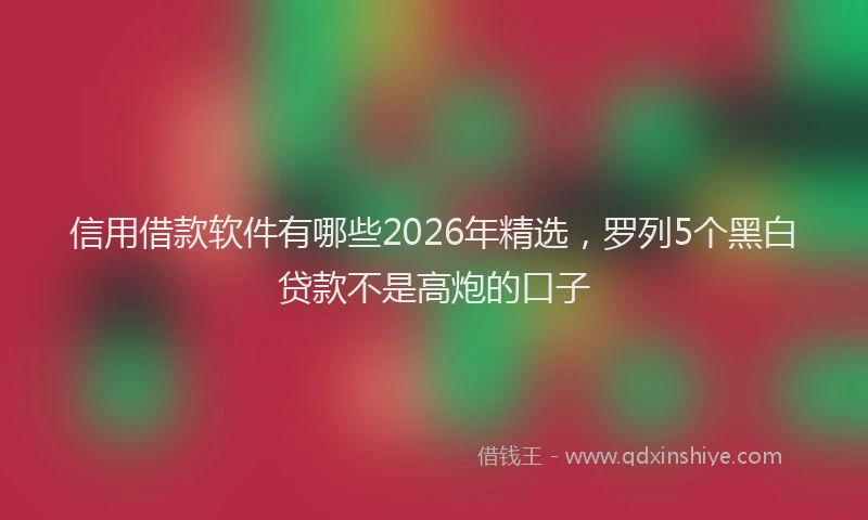 信用借款软件有哪些2026年精选，罗列5个黑白贷款不是高炮的口子
