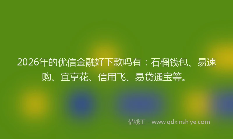 2026年的优信金融好下款吗有：石榴钱包、易速购、宜享花、信用飞、易贷通宝等。
