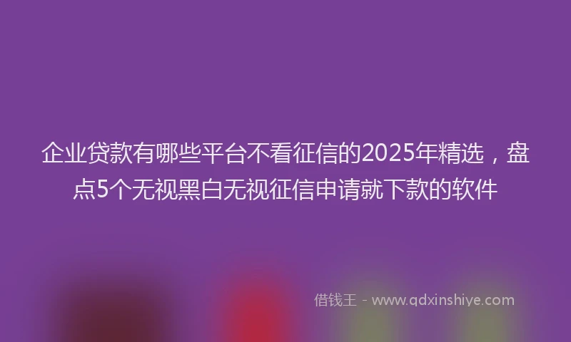 企业贷款有哪些平台不看征信的2025年精选，盘点5个无视黑白无视征信申请就下款的软件
