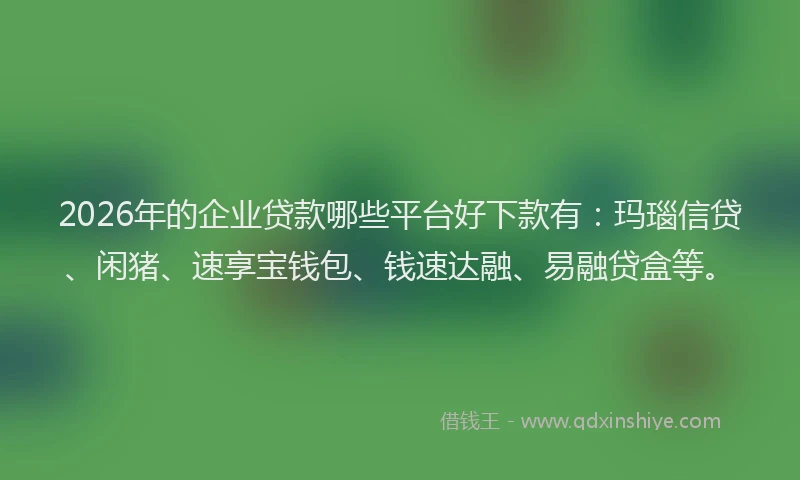 2026年的企业贷款哪些平台好下款有：玛瑙信贷、闲猪、速享宝钱包、钱速达融、易融贷盒等。