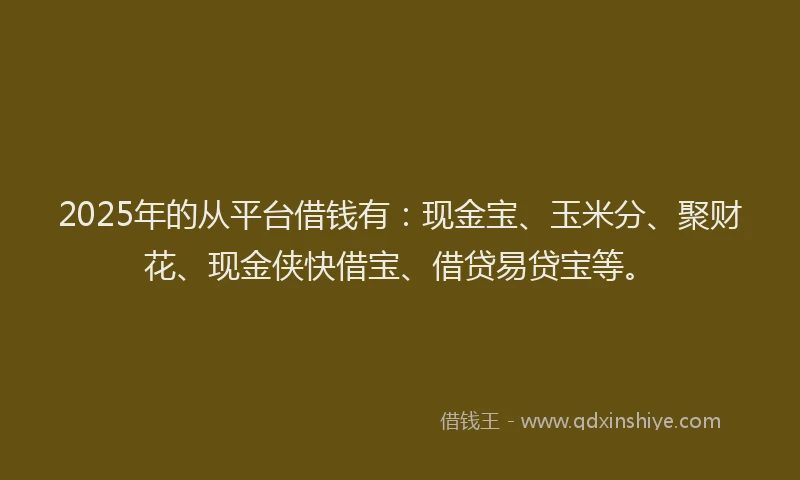 2025年的从平台借钱有：现金宝、玉米分、聚财花、现金侠快借宝、借贷易贷宝等。