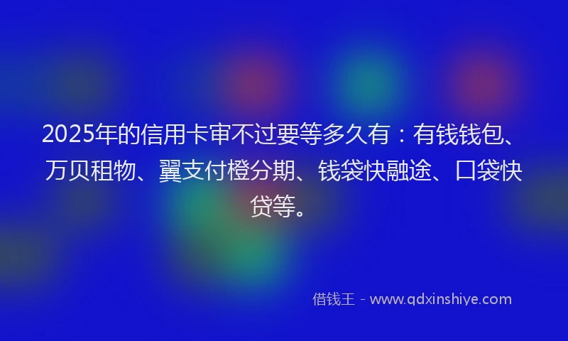 2025年的信用卡审不过要等多久有：有钱钱包、万贝租物、翼支付橙分期、钱袋快融途、口袋快贷等。