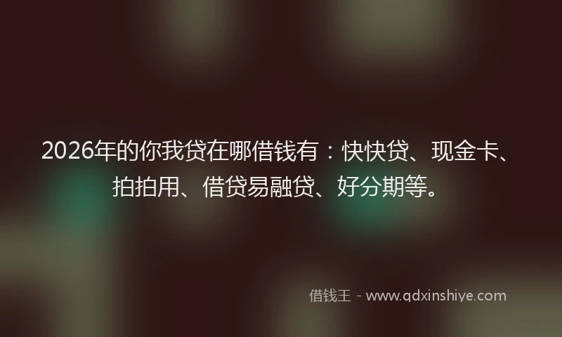 2026年的你我贷在哪借钱有：快快贷、现金卡、拍拍用、借贷易融贷、好分期等。