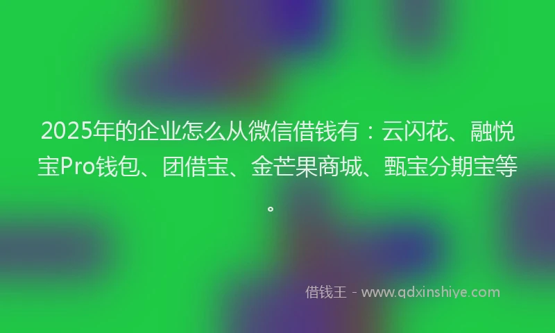 2025年的企业怎么从微信借钱有：云闪花、融悦宝Pro钱包、团借宝、金芒果商城、甄宝分期宝等。