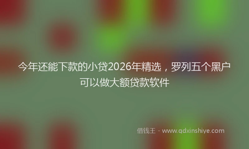 今年还能下款的小贷2026年精选，罗列五个黑户可以做大额贷款软件