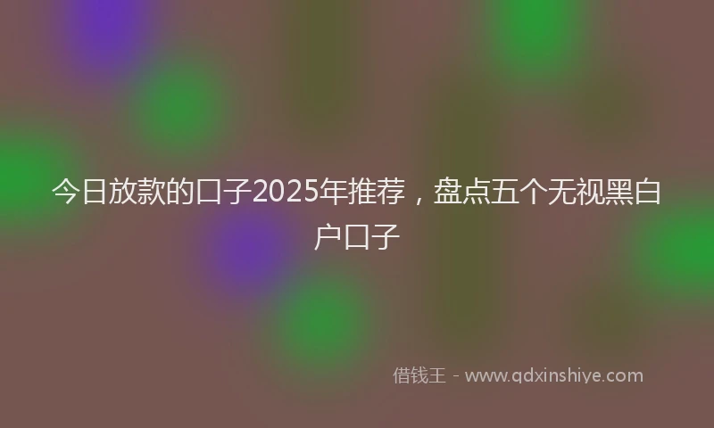 今日放款的口子2025年推荐，盘点五个无视黑白户口子