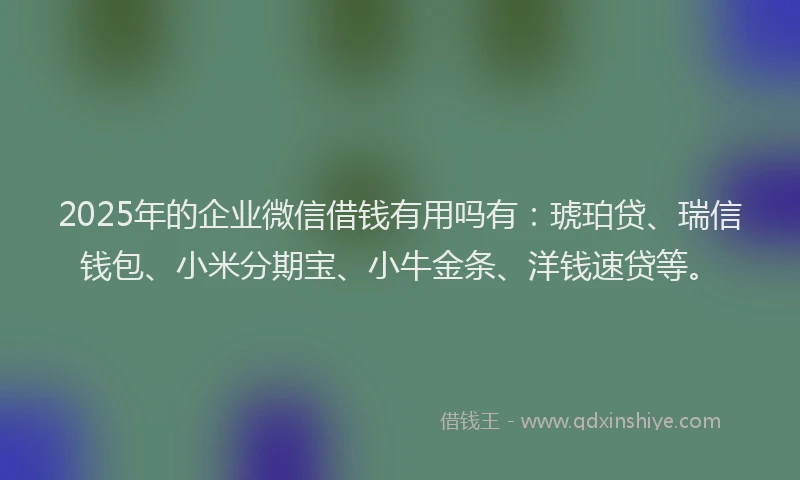 2025年的企业微信借钱有用吗有:琥珀贷、瑞信钱包、小米分期宝、小牛金条、洋钱速贷等。