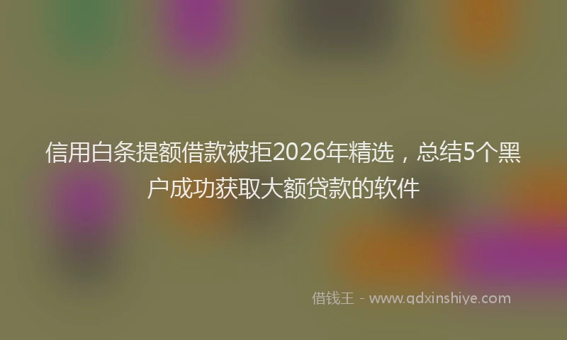 信用白条提额借款被拒2026年精选，总结5个黑户成功获取大额贷款的软件