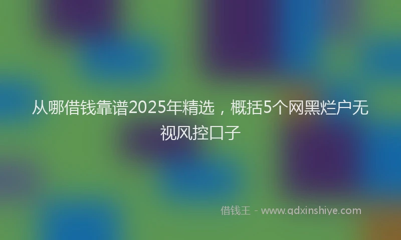 从哪借钱靠谱2025年精选，概括5个网黑烂户无视风控口子