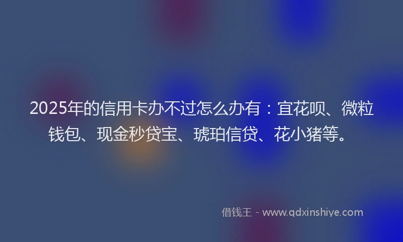 2025年的信用卡办不过怎么办有：宜花呗、微粒钱包、现金秒贷宝、琥珀信贷、花小猪等。
