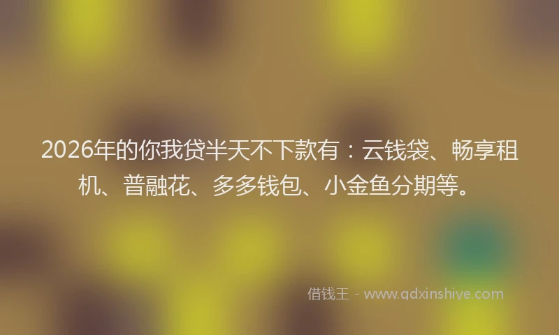 2026年的你我贷半天不下款有：云钱袋、畅享租机、普融花、多多钱包、小金鱼分期等。