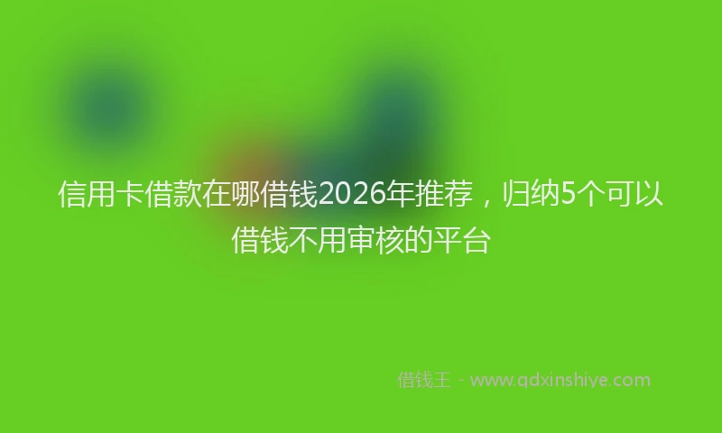 信用卡借款在哪借钱2026年推荐，归纳5个可以借钱不用审核的平台