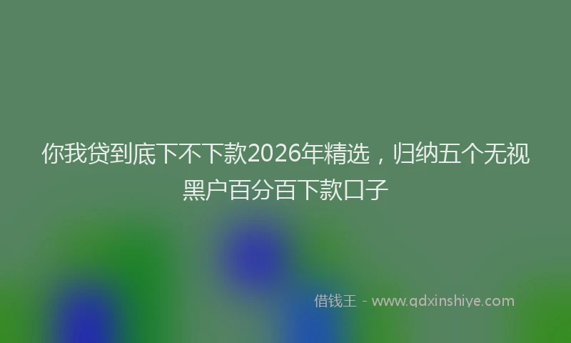 你我贷到底下不下款2026年精选，归纳五个无视黑户百分百下款口子