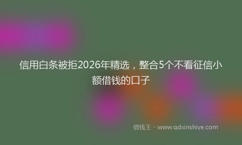 信用白条被拒2026年精选，整合5个不看征信小额借钱的口子