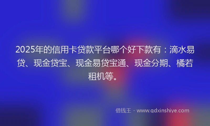 2025年的信用卡贷款平台哪个好下款有:滴水易贷、现金贷宝、现金易贷宝通、现金分期、橘若租机等。