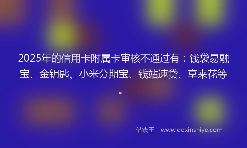 2025年的信用卡附属卡审核不通过有：钱袋易融宝、金钥匙、小米分期宝、钱站速贷、享来花等。
