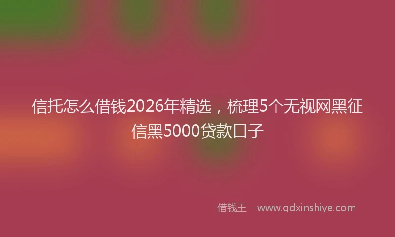 信托怎么借钱2026年精选，梳理5个无视网黑征信黑5000贷款口子