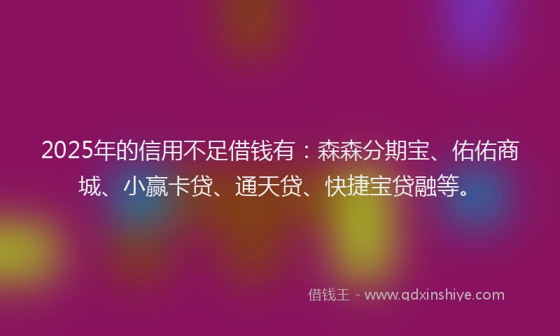 2025年的信用不足借钱有:森森分期宝、佑佑商城、小赢卡贷、通天贷、快捷宝贷融等。