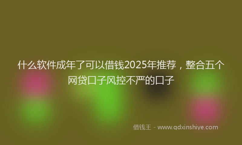 什么软件成年了可以借钱2025年推荐，整合五个网贷口子风控不严的口子