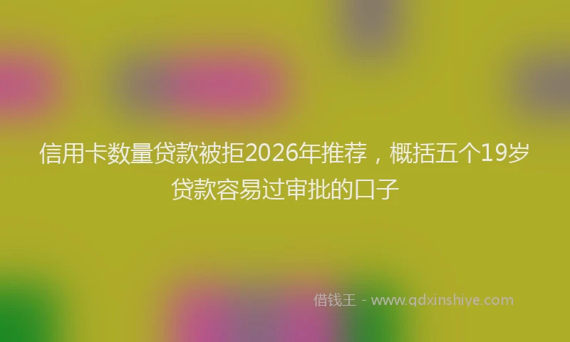 信用卡数量贷款被拒2026年推荐，概括五个19岁贷款容易过审批的口子