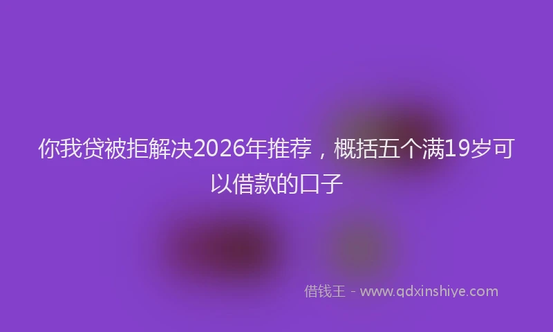 你我贷被拒解决2026年推荐，概括五个满19岁可以借款的口子