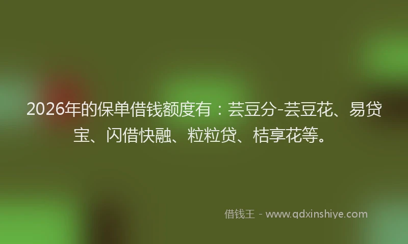 2026年的保单借钱额度有：芸豆分-芸豆花、易贷宝、闪借快融、粒粒贷、桔享花等。