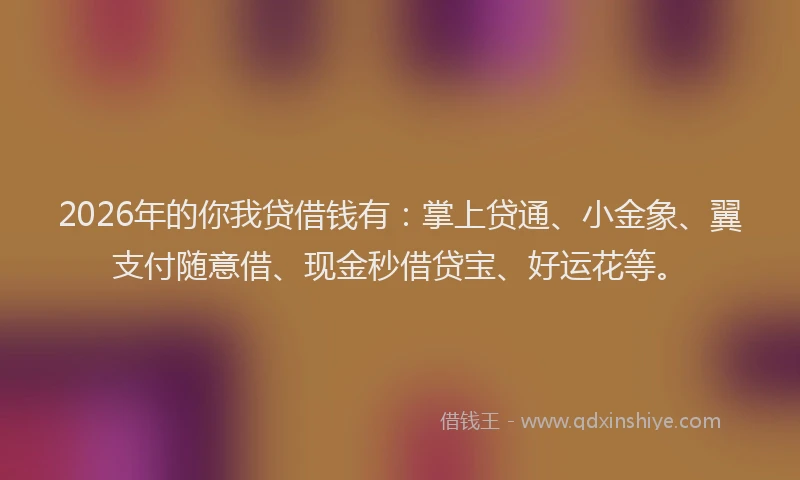2026年的你我贷借钱有：掌上贷通、小金象、翼支付随意借、现金秒借贷宝、好运花等。
