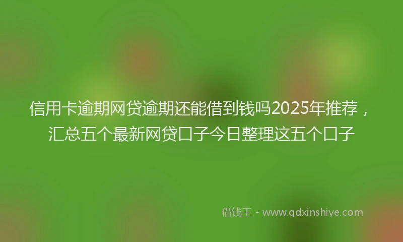 信用卡逾期网贷逾期还能借到钱吗2025年推荐，汇总五个最新网贷口子今日整理这五个口子