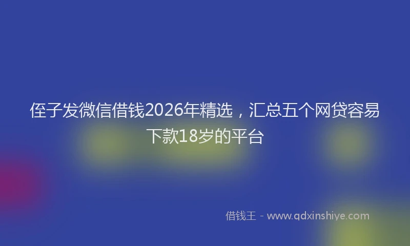 侄子发微信借钱2026年精选，汇总五个网贷容易下款18岁的平台