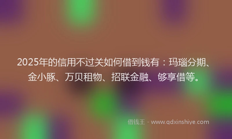 2025年的信用不过关如何借到钱有：玛瑙分期、金小豚、万贝租物、招联金融、够享借等。