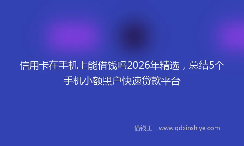 信用卡在手机上能借钱吗2026年精选，总结5个手机小额黑户快速贷款平台