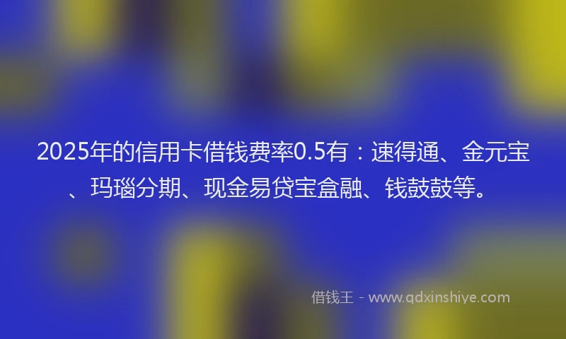 2025年的信用卡借钱费率0.5有：速得通、金元宝、玛瑙分期、现金易贷宝盒融、钱鼓鼓等。