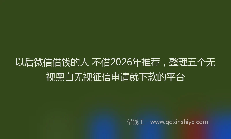 以后微信借钱的人 不借2026年推荐，整理五个无视黑白无视征信申请就下款的平台