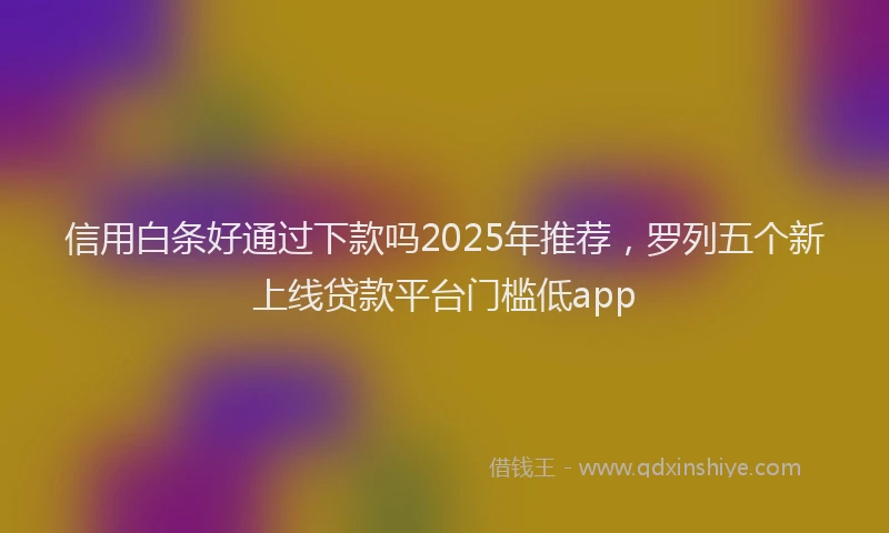 信用白条好通过下款吗2025年推荐，罗列五个新上线贷款平台门槛低app