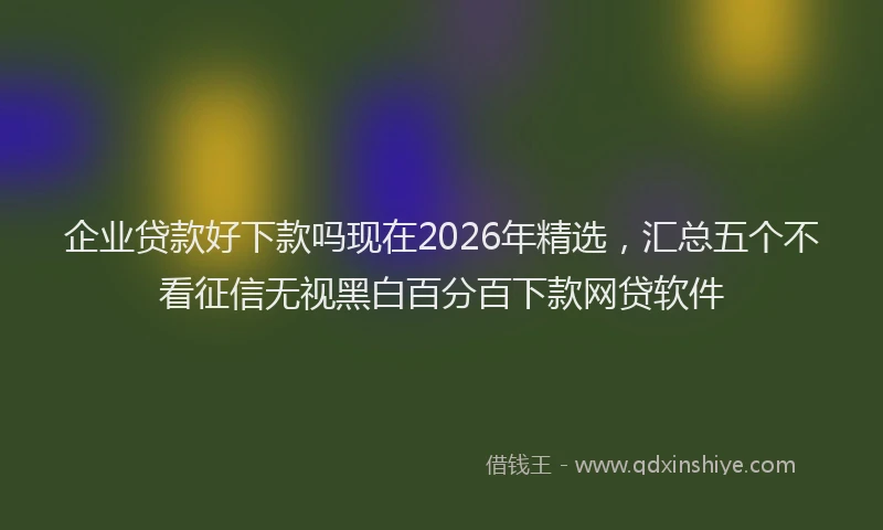 企业贷款好下款吗现在2026年精选，汇总五个不看征信无视黑白百分百下款网贷软件