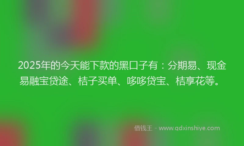 2025年的今天能下款的黑口子有:分期易、现金易融宝贷途、桔子买单、哆哆贷宝、桔享花等。
