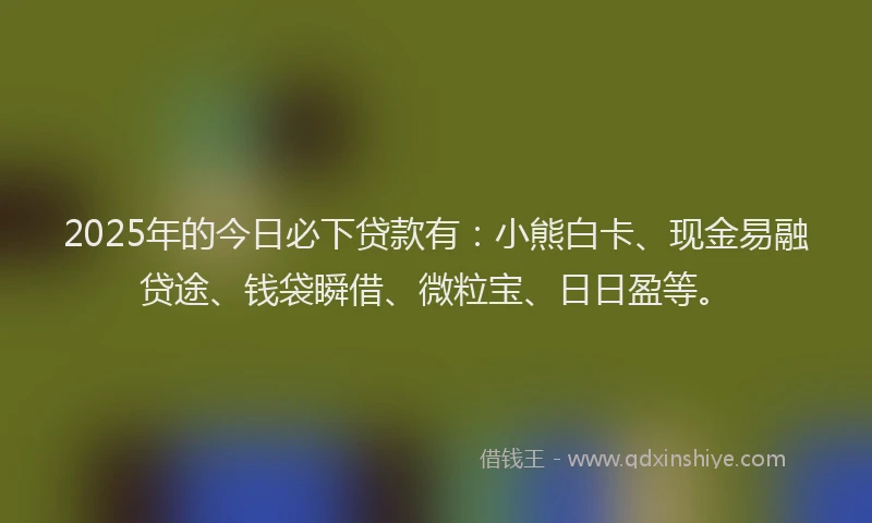 2025年的今日必下贷款有：小熊白卡、现金易融贷途、钱袋瞬借、微粒宝、日日盈等。