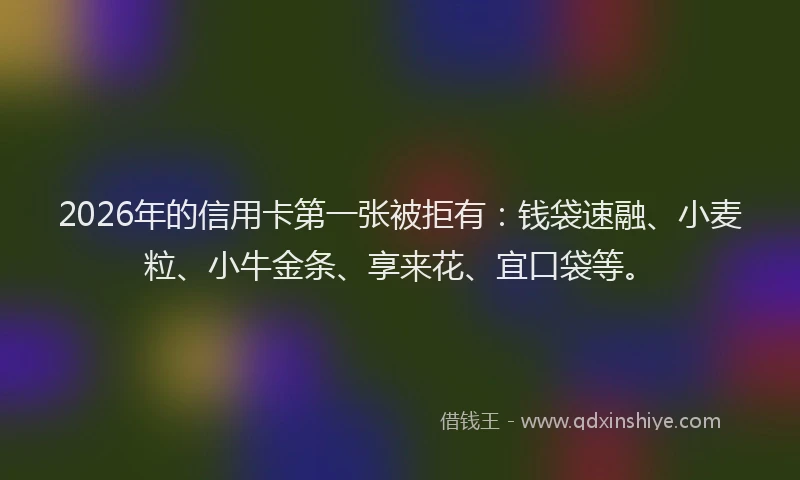 2026年的信用卡第一张被拒有：钱袋速融、小麦粒、小牛金条、享来花、宜口袋等。