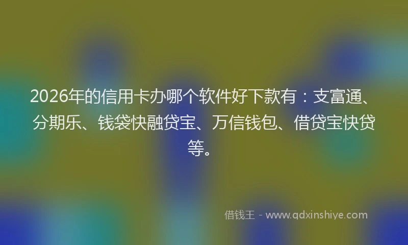 2026年的信用卡办哪个软件好下款有：支富通、分期乐、钱袋快融贷宝、万信钱包、借贷宝快贷等。