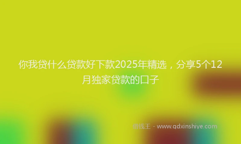 你我贷什么贷款好下款2025年精选，分享5个12月独家贷款的口子