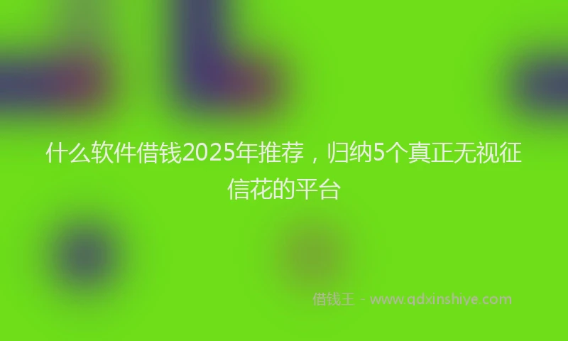 什么软件借钱2025年推荐，归纳5个真正无视征信花的平台