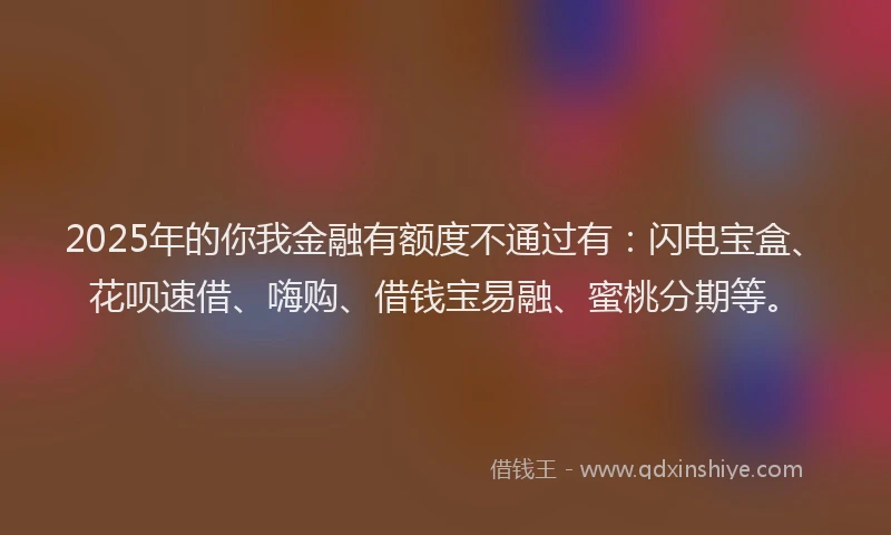 2025年的你我金融有额度不通过有：闪电宝盒、花呗速借、嗨购、借钱宝易融、蜜桃分期等。