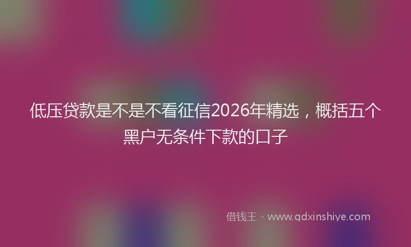低压贷款是不是不看征信2026年精选，概括五个黑户无条件下款的口子