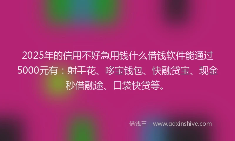 2025年的信用不好急用钱什么借钱软件能通过5000元有:射手花、哆宝钱包、快融贷宝、现金秒借融途、口袋快贷等。